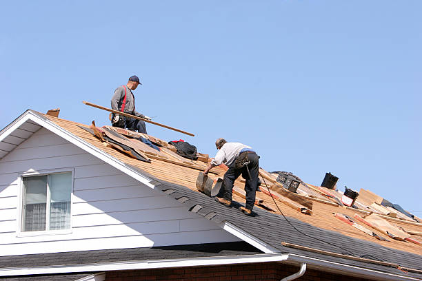 Best Skylights  in Essex, MD